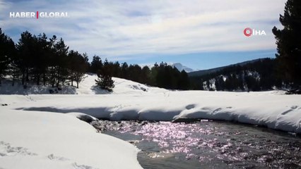 Baharın gelmesiyle doğanın uyanması böyle görüntülendi
