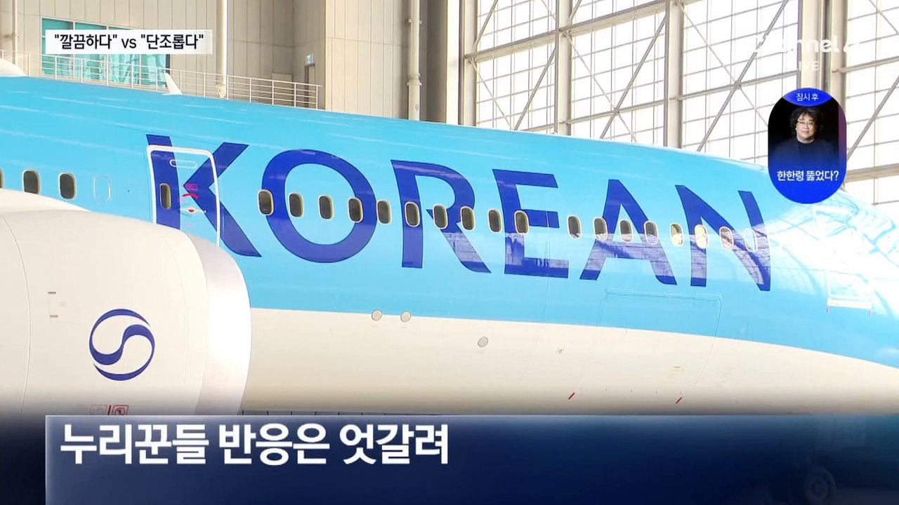 대한항공, 41년 만의 ‘새 로고’ 반응 엇갈려