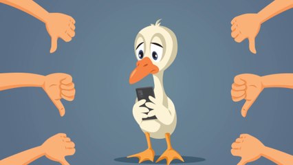 L’histoire du vilain petit canard!