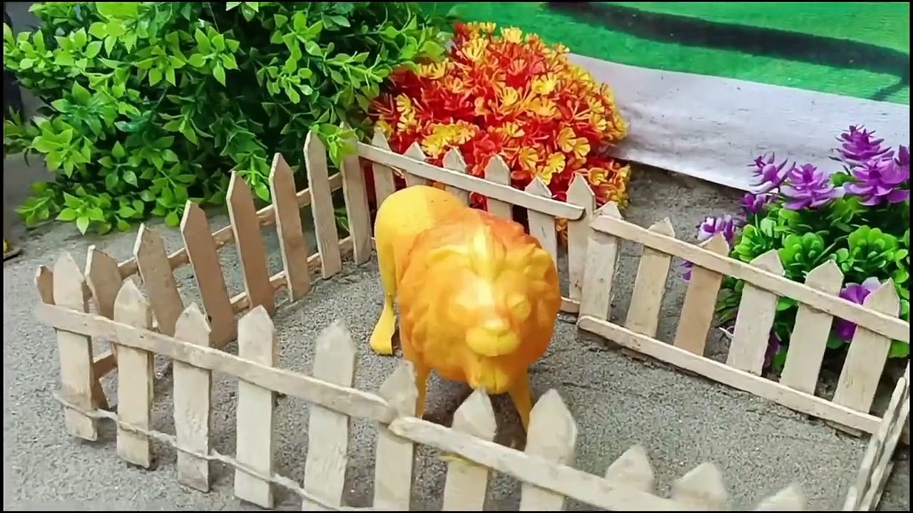 WADIDAU PROSES POTONG SAPI