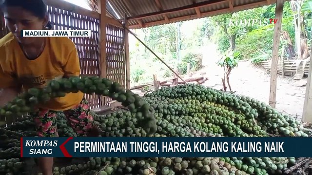 Banjir Orderan Produsen Kolang Kaling, Harga Naik 100 Persen!