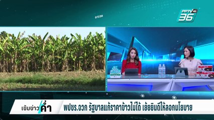 พปชร.เย้ย พท.ยินดีให้ลอกนโยบายหลังแก้ราคาข้าวไม่ได้ | เข้มข่าวค่ำ | 8 มี.ค. 68