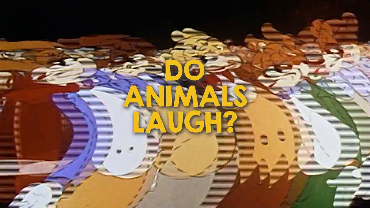 Do Animals Laugh?