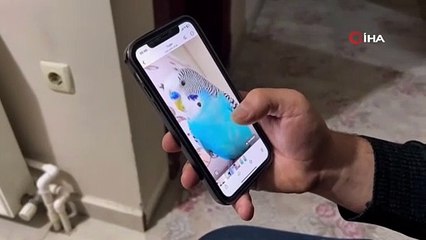 Bu kuşu bulana 20 bin lira verecek!