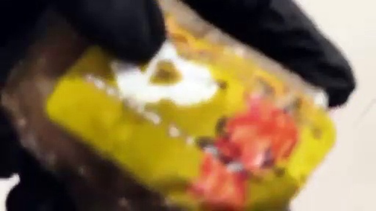 ضبط
