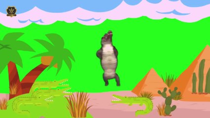 "Alligator Happy Dance – Move, Groove & Smile!" 🐊🎶💃