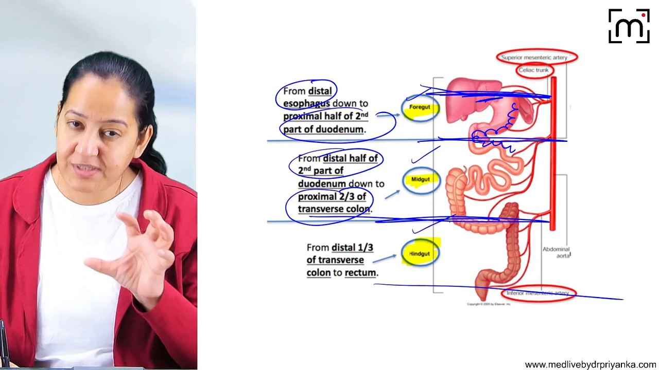 15. Carcinoid Tumor