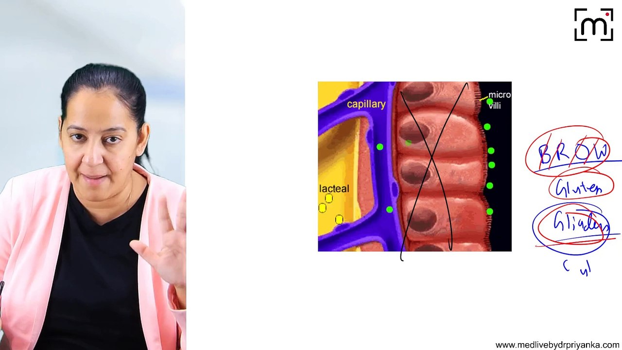 14. Malabsorption Syndrome