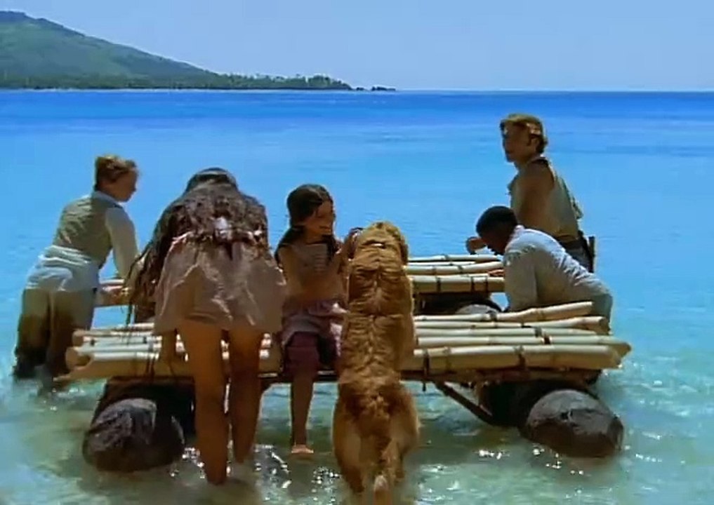 Die Robinsons  E15 - Überraschung