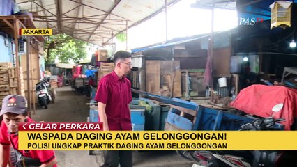 Praktik Ayam Gelonggongan Sejak 2021, Tersangka Terancam 5 Tahun Bui dan Denda Rp2 M | PART 1