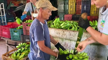Confira a íntegra do programa SC Agricultura deste sábado (08)!