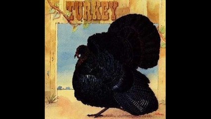 Wild Turkey - album Turkey 1972