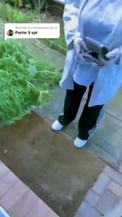 Un homme étrange dans mon jardin (3/fin)