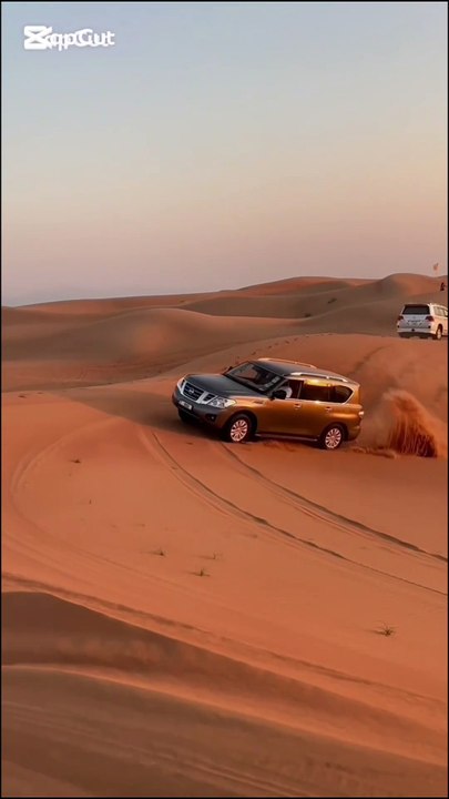 Desert safari
