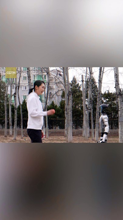 Dog-walking challenge between human and robot