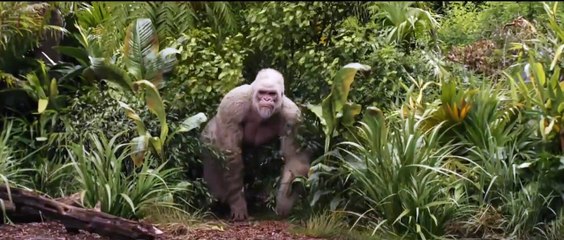 Rampage : hors de contrôle