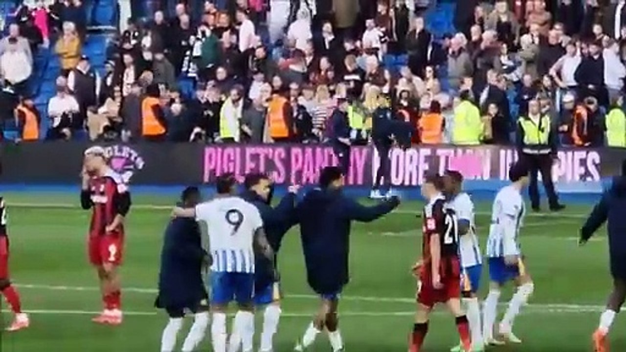 Watch as Brighton and Hove Albion celebrate last-gasp win over Fulham to extend superb run of form