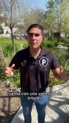 Conecta con la naturaleza en este increíble parque ubicado en San Pedro