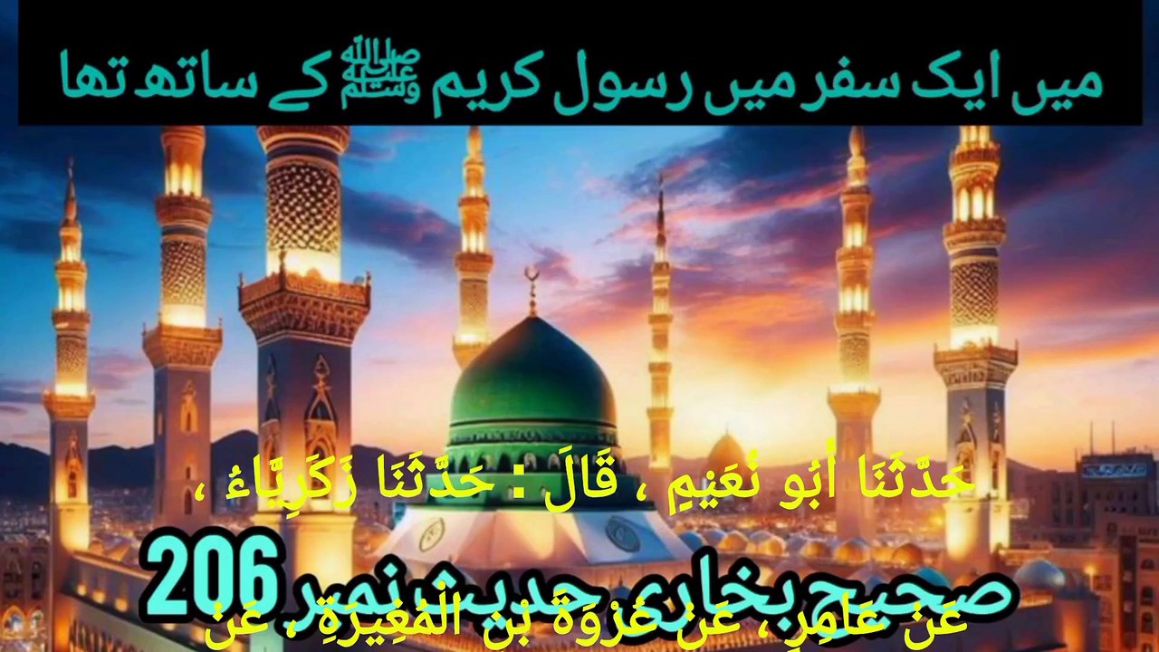 Sahih Bukhari Hadees No 206