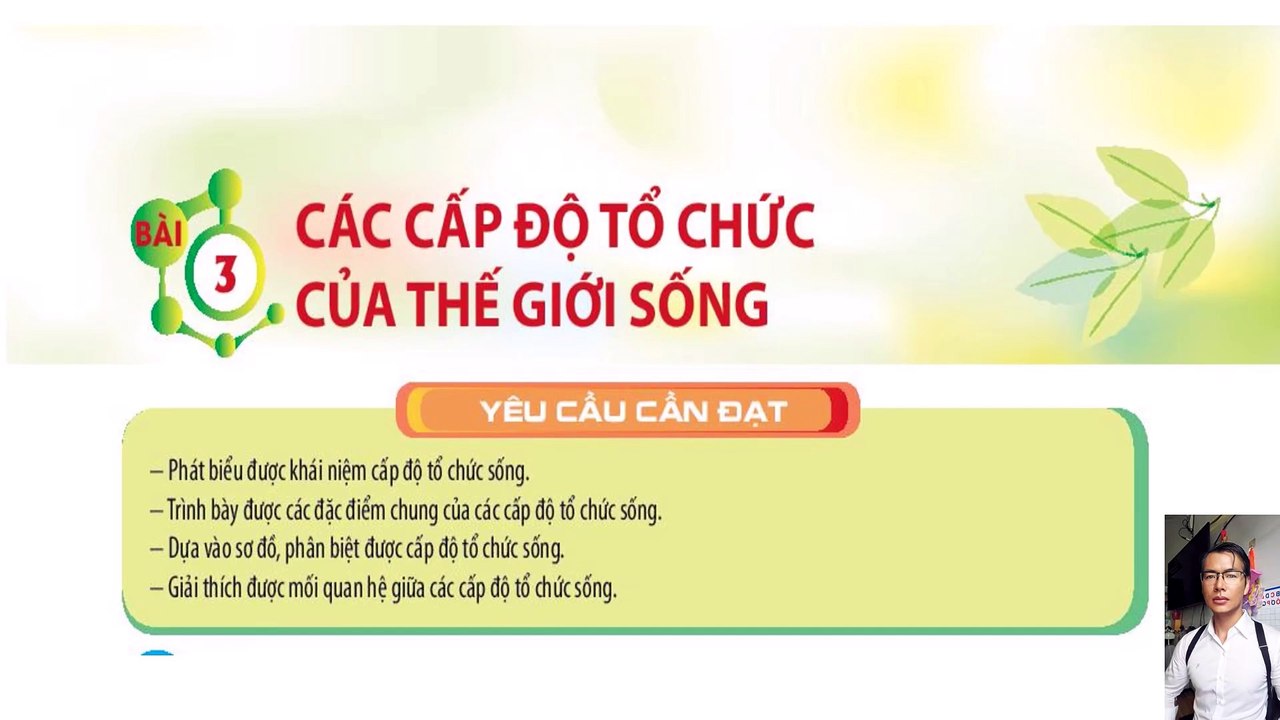 Sinh 10 - Trắc nghiệm 4 lựa chọn Bài 3 Các cấp độ tổ chức của sự sống