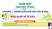 Sinh 10 - Trắc nghiệm 4 lựa chọn Bài 4 Khái quát về tế bào