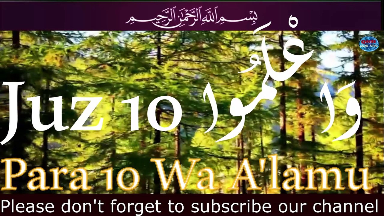 Para 10 Wa A'lamu وَاعْلَمُوا  Recited by Shiekh Abdallah Abdal |  Full With Arabic Text