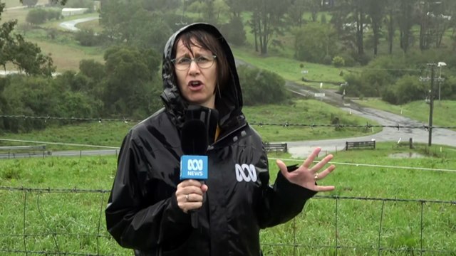 Body found in floodwaters as heavy rain batters northern NSW