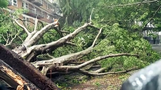 Flood watches still in place as heavy rain and strong winds continue in south-east Queensland