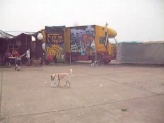 F.B.I teknival crucey 2008