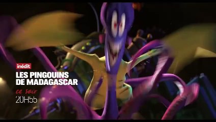 Les pingouins de Madagascar