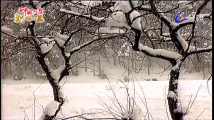 Thần Cơ Diệu Toán Lưu Bá Ôn Phần 8 Đại Náo Nữ Nhi Quốc Tập 80 Bản Đẹp (720P)