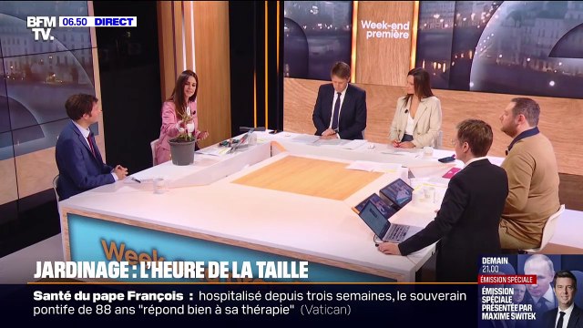 Jardinage: comment bien tailler ses arbustes ? Les conseils de Caroline Munoz