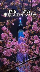 Tokyo Sky Tree 東京スカイツリー