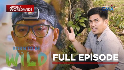 The world of insects & a Philippine Eagle that lost its vision | Born to be Wild