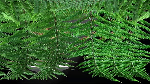 Grüntyers music department present, German techno synth sensation Die Schwarzschild Metrik mit Ereignishorizont im Rückspiegel