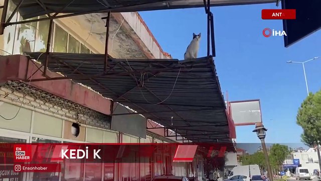 Antalya'da kedisi mahsur kalan genç kız ağladı