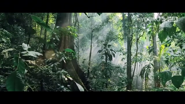The bus entered the snake's territory and made the snake angry! ｜ Snake 3 ｜ YOUKU MONSTER MOVIE [lS01XK26Te0]