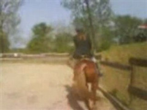 Concours de dress au treuil