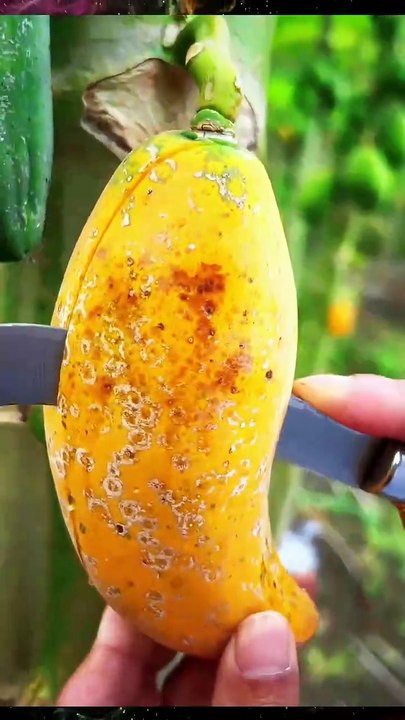 #ChineseFruits