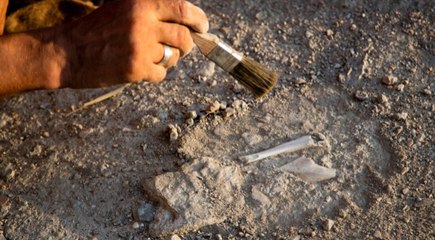 Dünyanın en nadir kumaşı Çorum'da bulundu! Hem de şans eseri