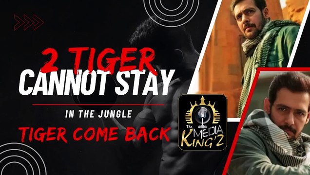 Tiger Come Back || 2 Tiger Can't Stay In The Jungle || Mian Naeeb Ahmed || The Media Kingz