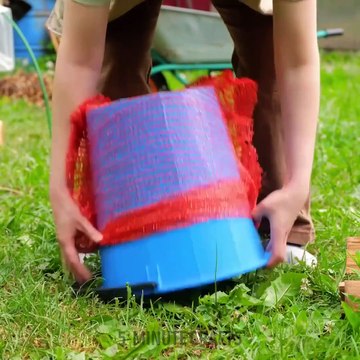 Genius Indoor Planting Tips VS Vegetable Garden Hacks: Quick and Simple Tricks