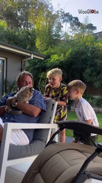 Grandfather has a wholesome time with grandchildren and a possum puppet *Heartwarming*