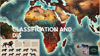 Lion - King of the Jungle