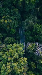 Believe in Yourself & The World Will Follow | Power of Self-Confidence