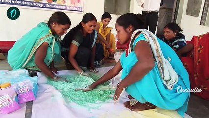 Herbal Holi Colour Making : UP और Chhattisgarh में कैसे बनते है हर्बल गुलाल ?