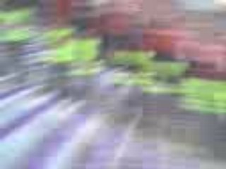 TFC PSG TRIBUNE OUEST