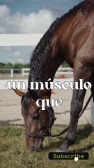 frases cristinas / datos curiosos / amor / ( Jorge montes )