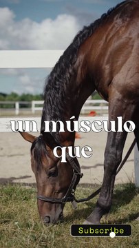 frases cristinas / datos curiosos / amor / ( Jorge montes )