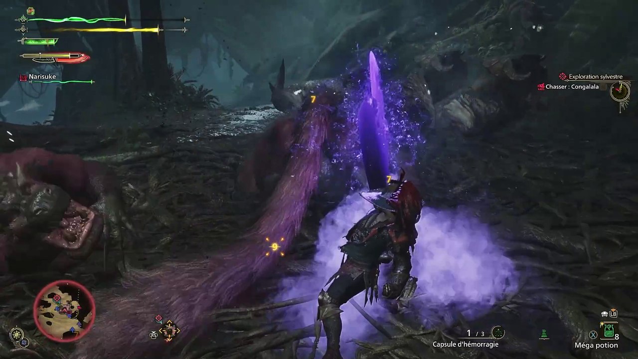 Monster Hunter Wilds - Chasse Congalala